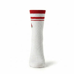 Watermelon Studio Socks